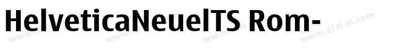 HelveticaNeuelTS Rom字体转换
